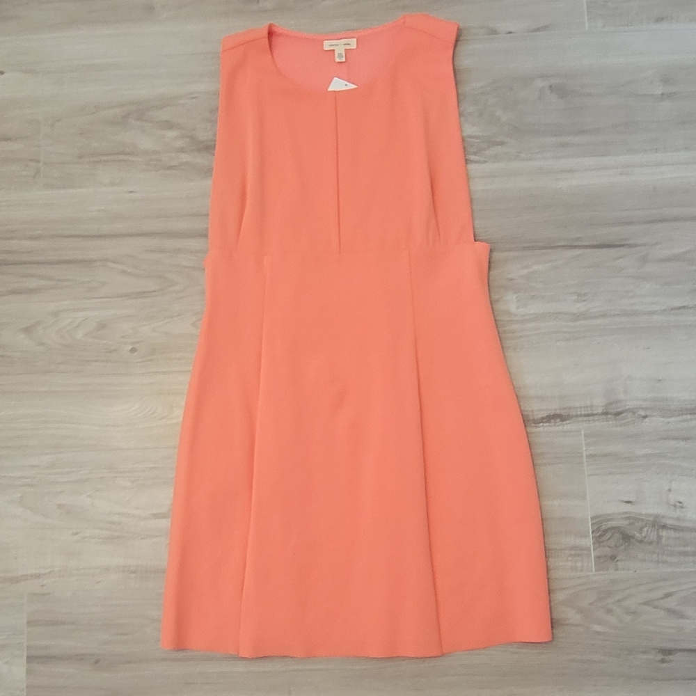 Silence + Noise Dress